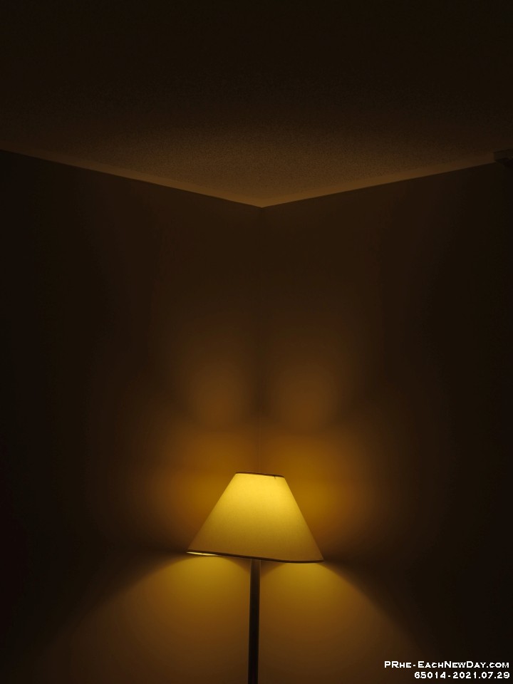 65014 - Two studies of a lamp - One